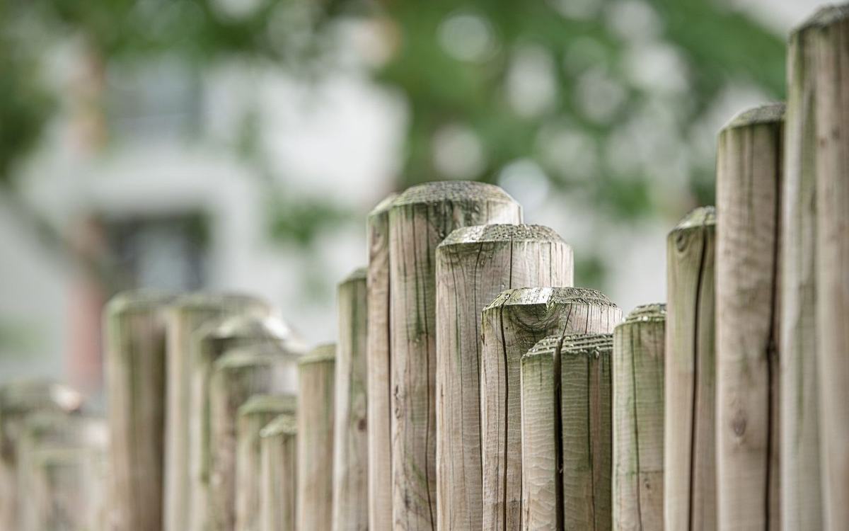 Row of weathered timber fence posts in front of a house